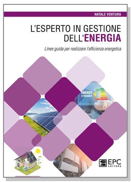 L'Esperto in Gestione dell'Energia, EPC Editore, giugno 2023, Ventura Natale