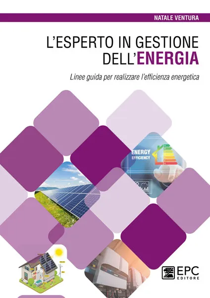 L'Esperto in Gestione dell'Energia, EPC Editore, giugno 2023, Ventura Natale